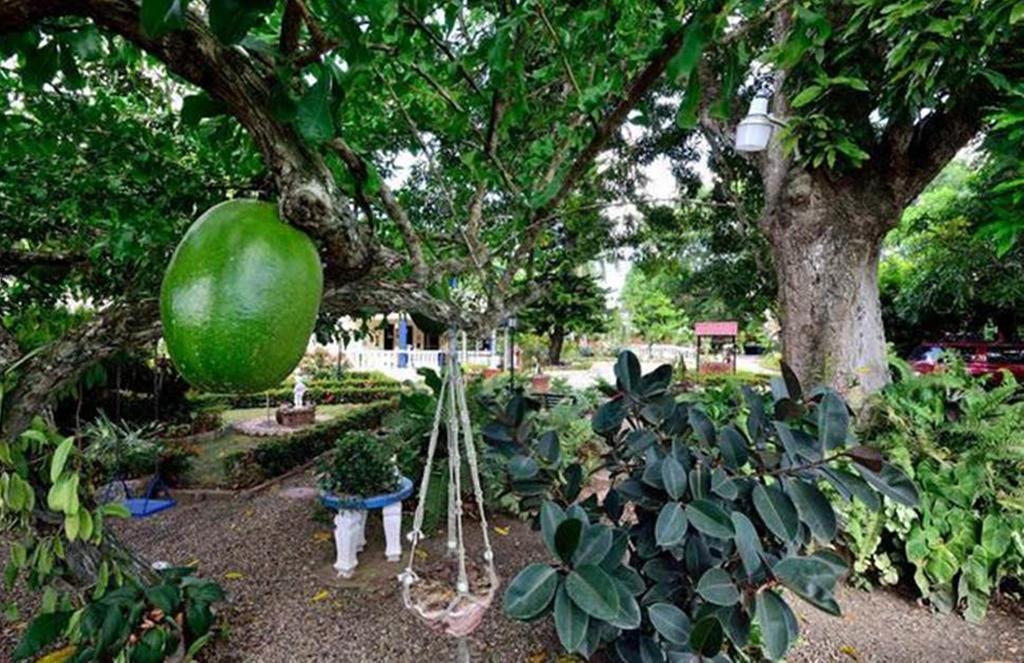 Хостел Sana El Jardin Secreto Сантьяго-де-лос-Кабальерос Экстерьер фото